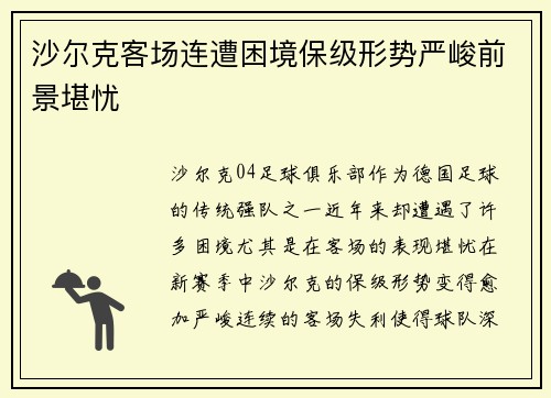 沙尔克客场连遭困境保级形势严峻前景堪忧 沙尔克客场连遭困境保级形势严峻前景堪忧